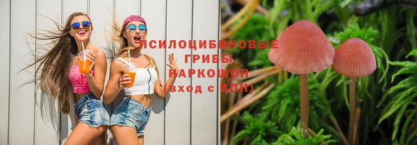 ПСИЛОЦИБИНОВЫЕ ГРИБЫ Алексин