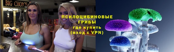гидропоника Алзамай