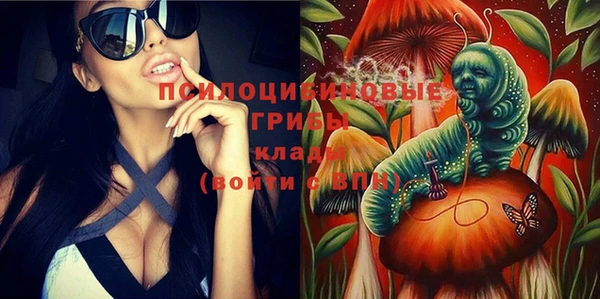 ПСИЛОЦИБИНОВЫЕ ГРИБЫ Алексин