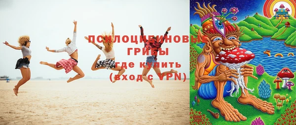 ПСИЛОЦИБИНОВЫЕ ГРИБЫ Алексин