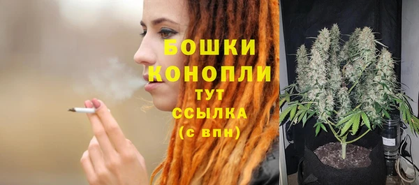 тгк Осташков