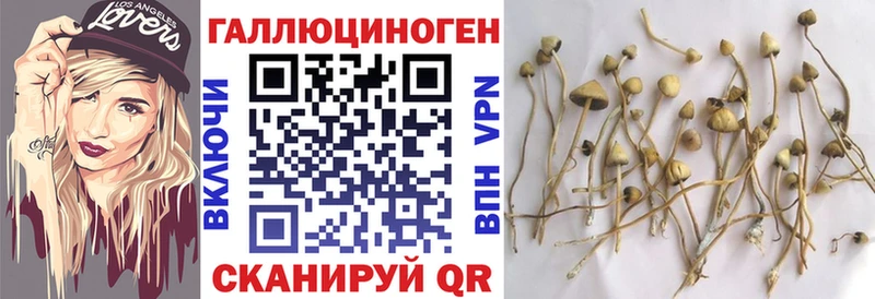 Галлюциногенные грибы мухоморы  Дзержинский 